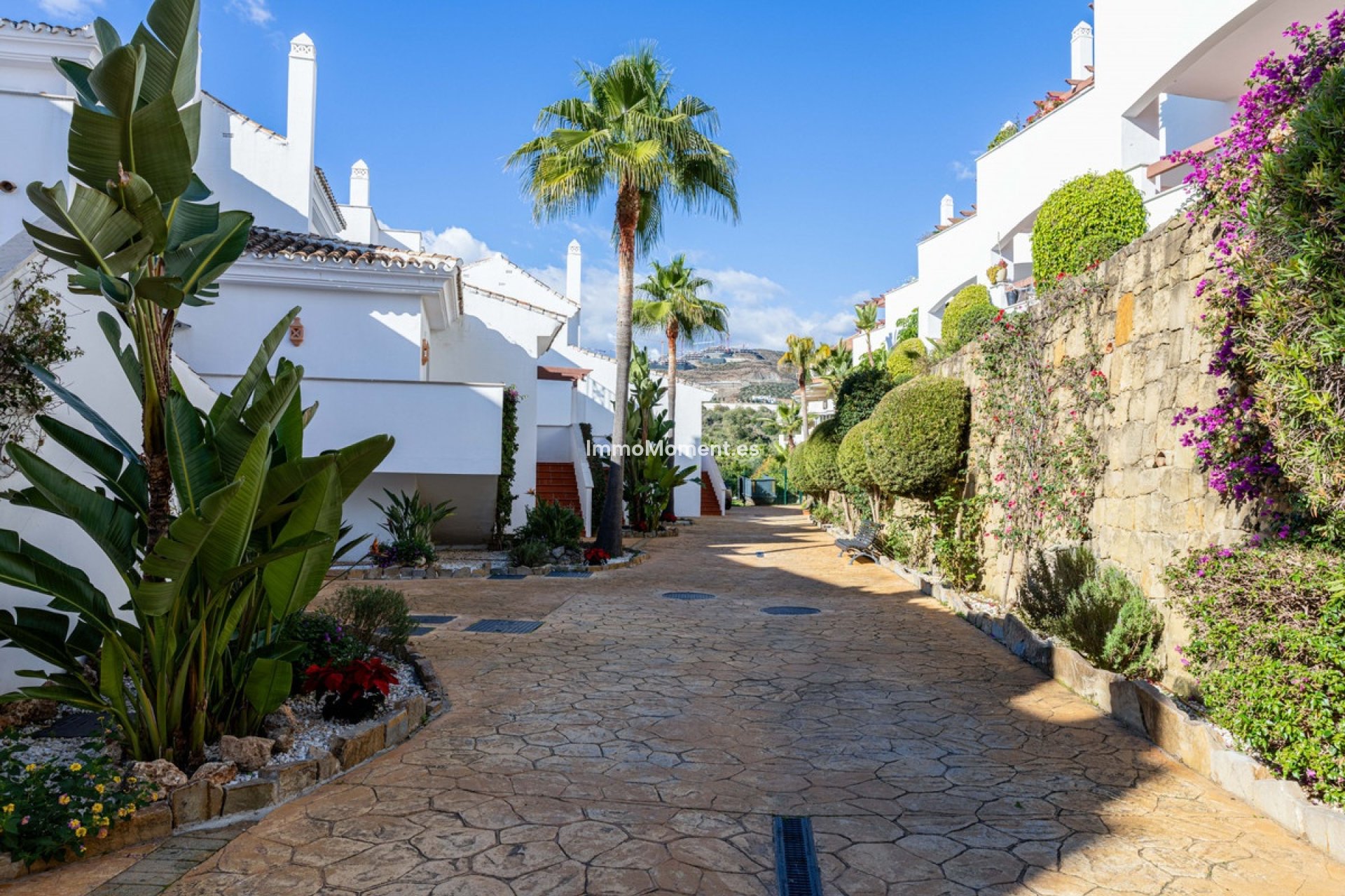 Resale - Apartment - Marbella - Nueva Andalucía