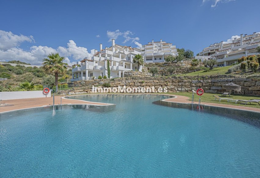 Resale - Apartment - Marbella - Nueva Andalucía