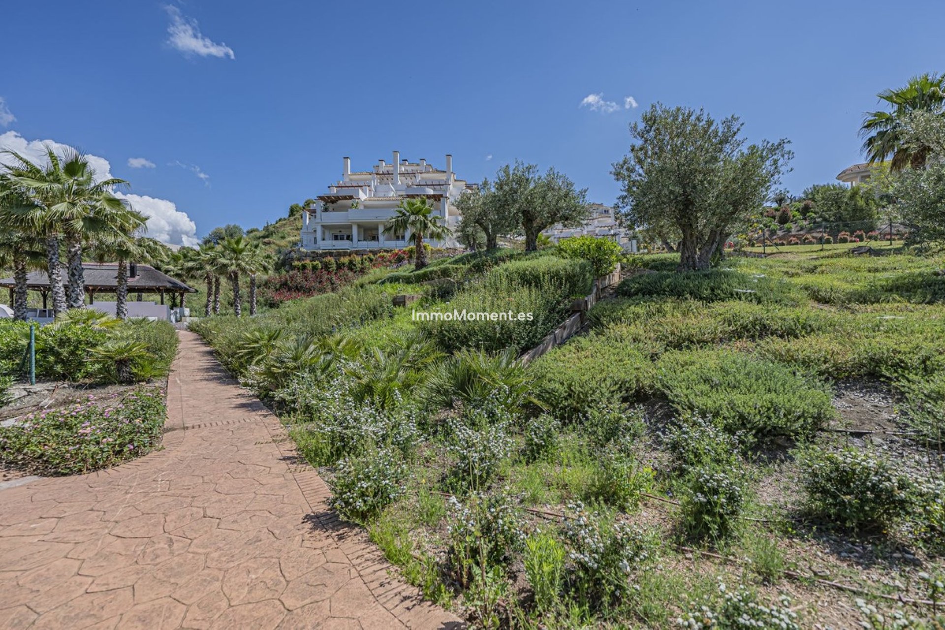 Resale - Apartment - Marbella - Nueva Andalucía