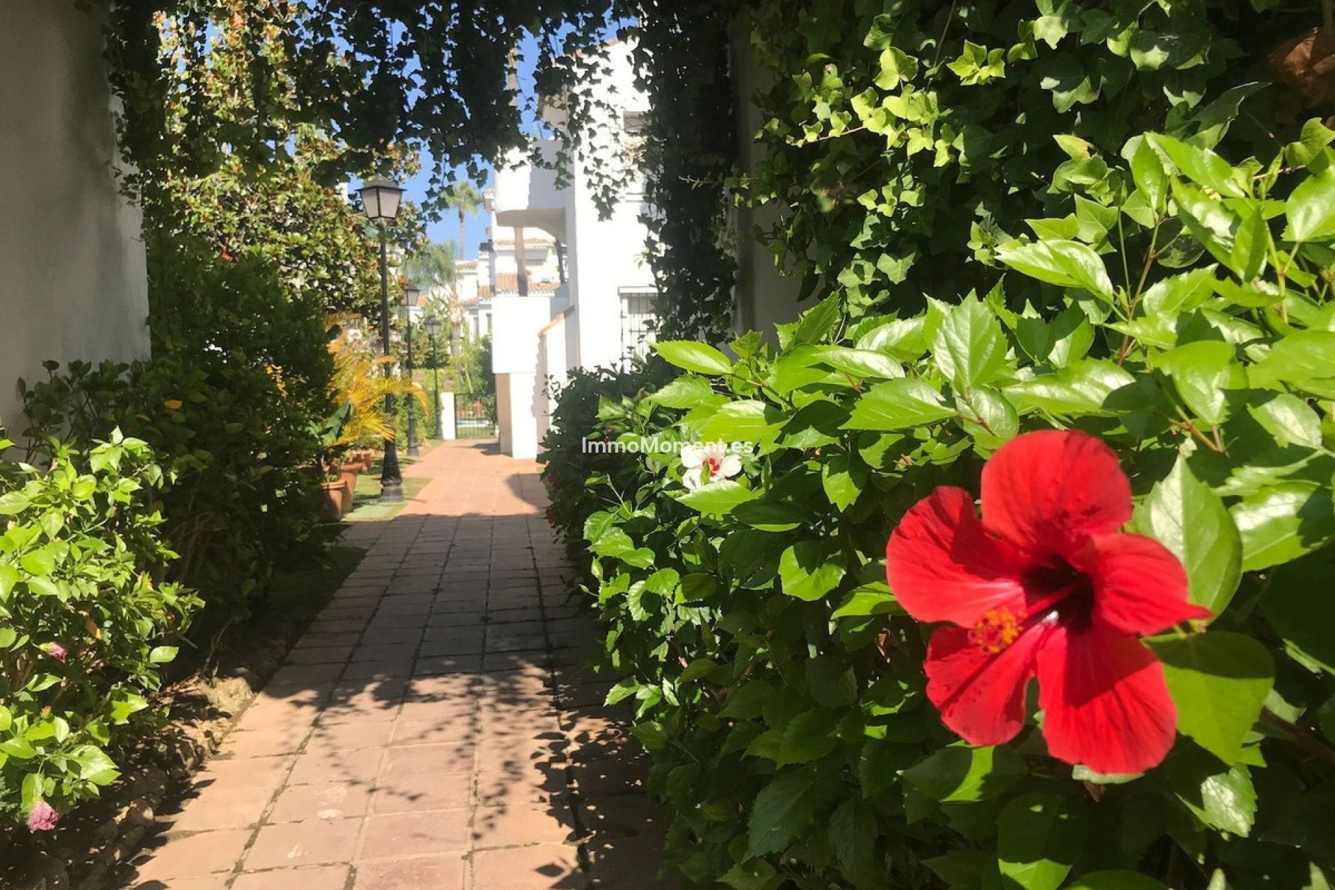 Resale - Apartment - Marbella - Nueva Andalucía