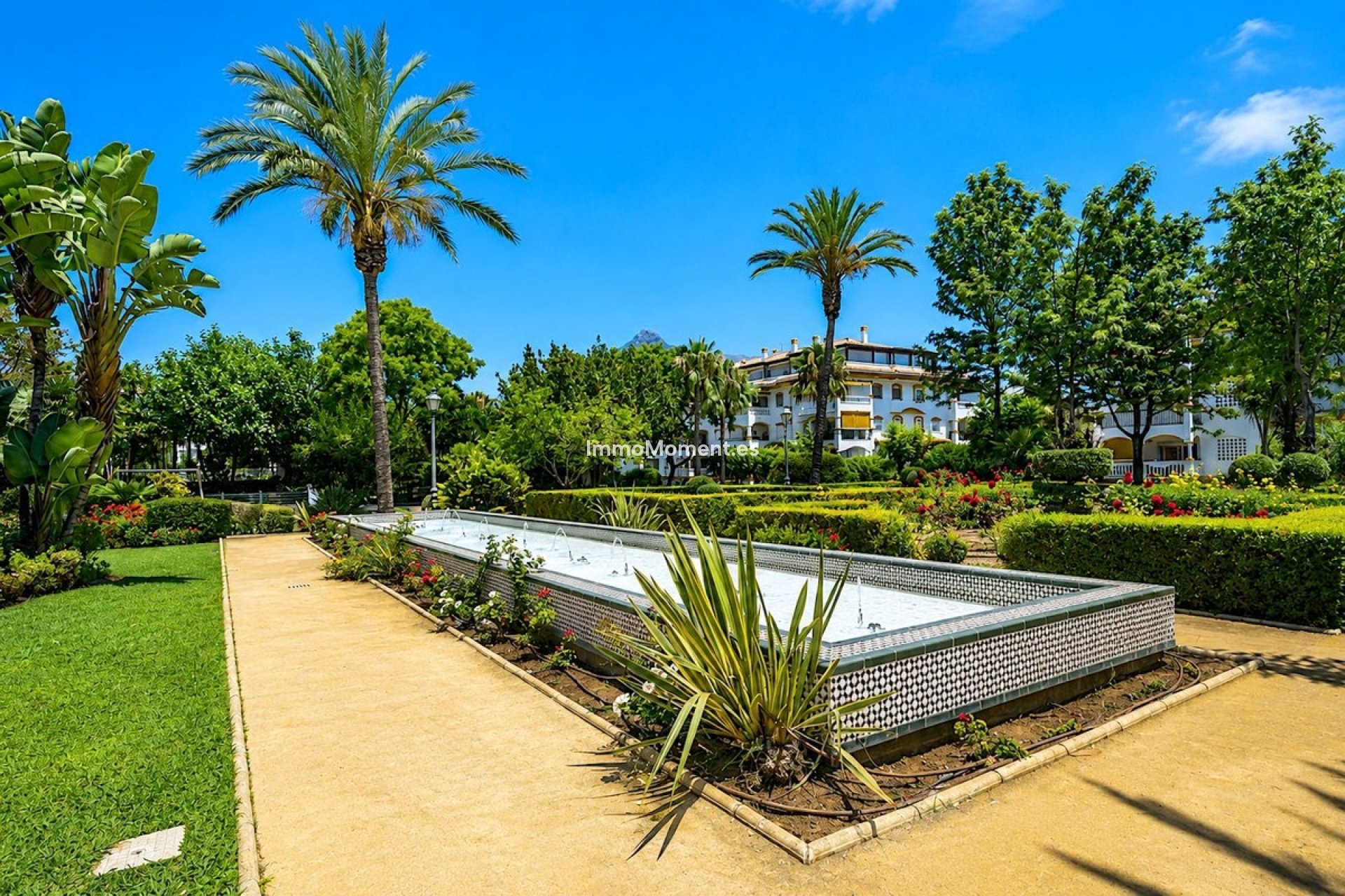 Resale - Apartment - Marbella - Nueva Andalucía