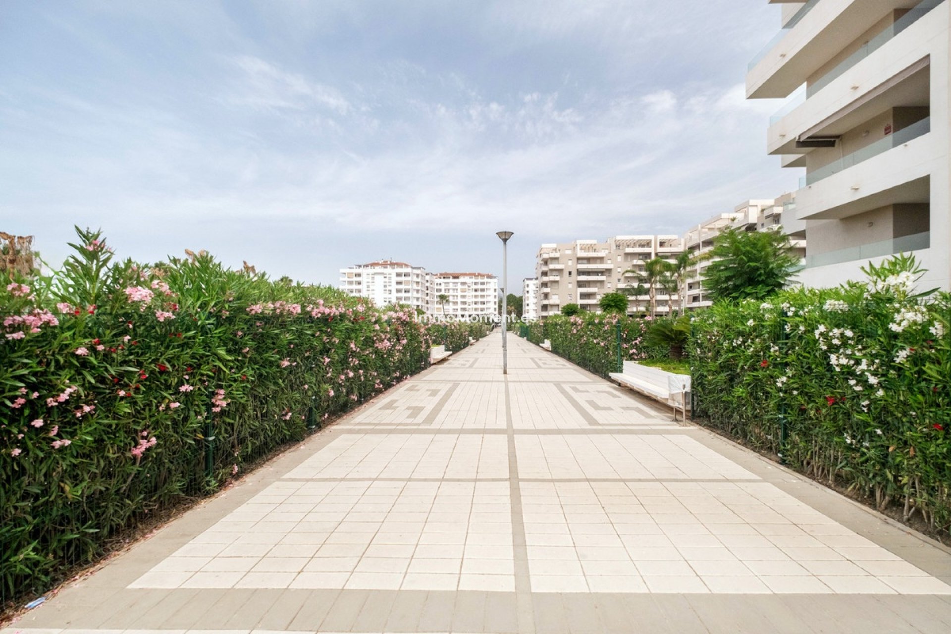 Resale - Apartment - Marbella - Nueva Andalucía