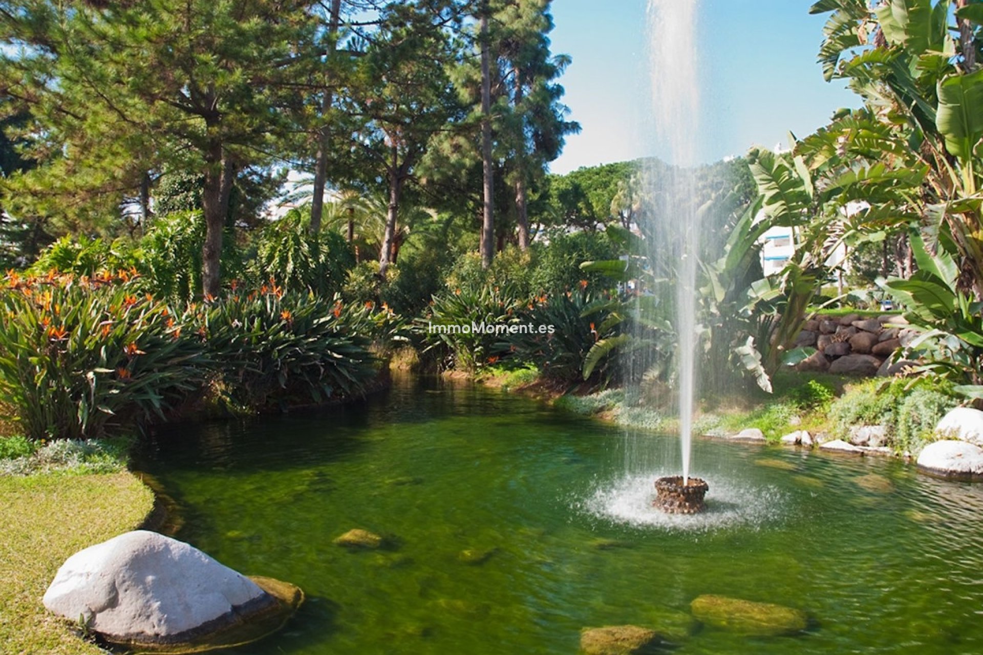 Resale - Apartment - Marbella - Puerto Banús
