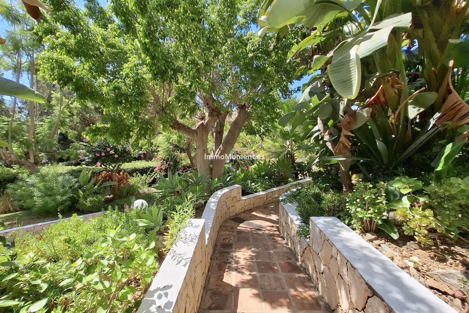 Resale - Apartment - Marbella - Río Real