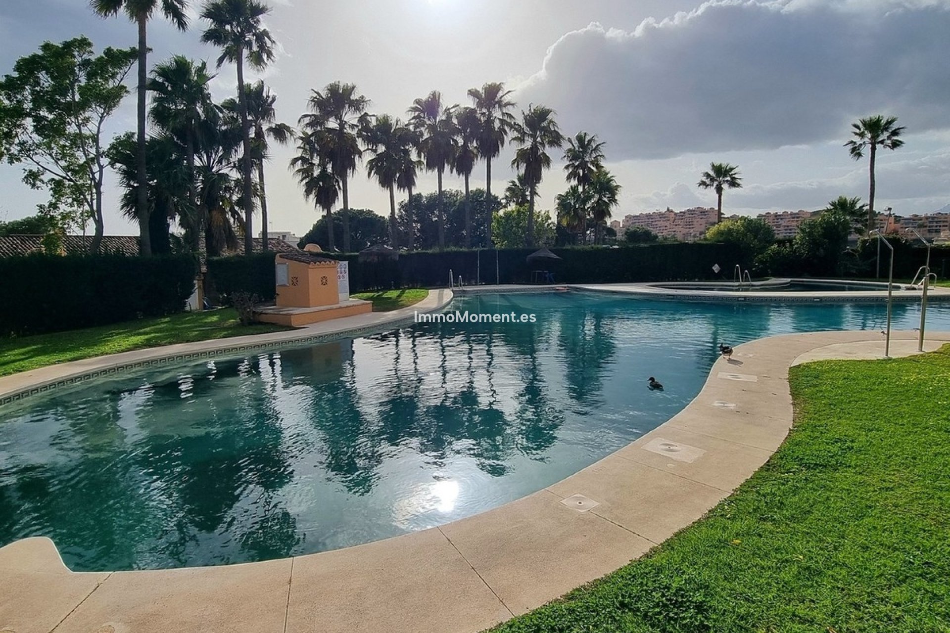 Resale - Apartment - Mijas - Calahonda