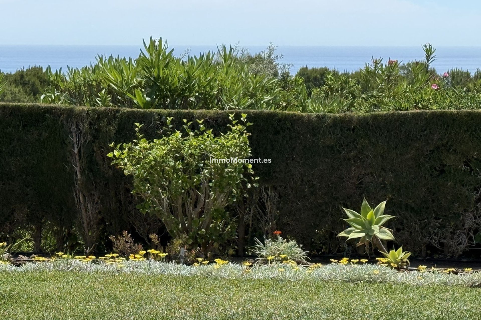 Resale - Apartment - Mijas - Riviera Del Sol