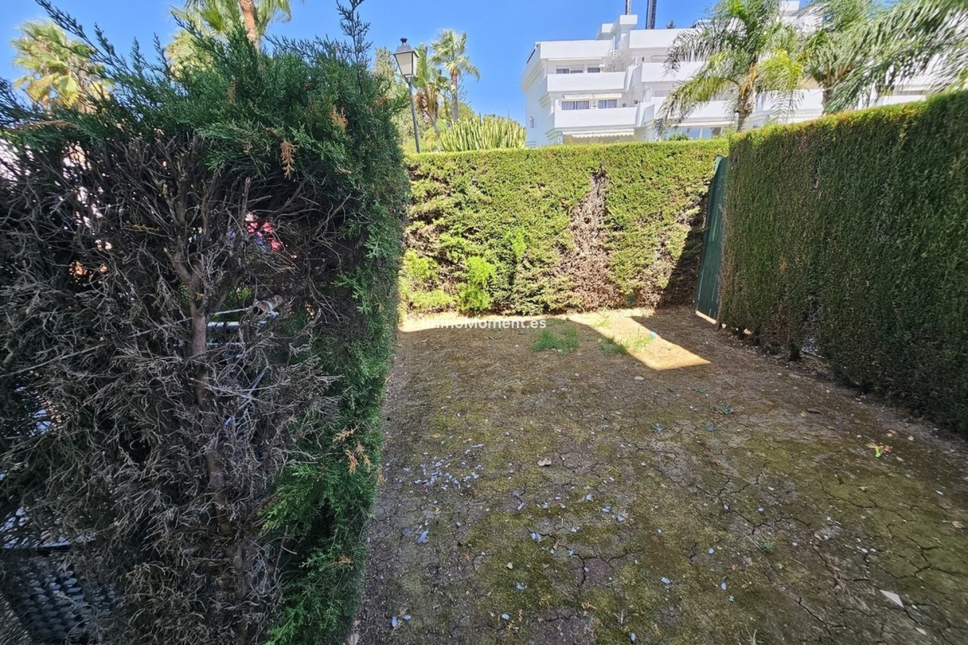 Resale - Apartment - New Golden Mile