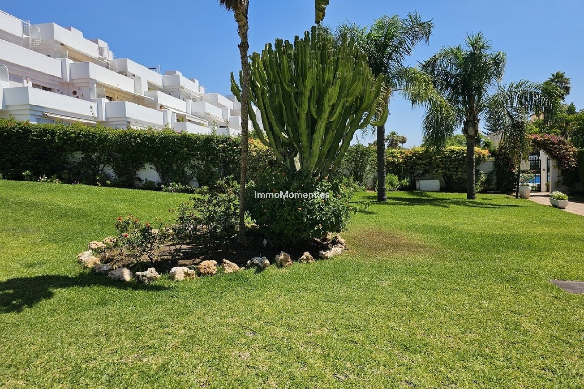 Resale - Apartment - New Golden Mile