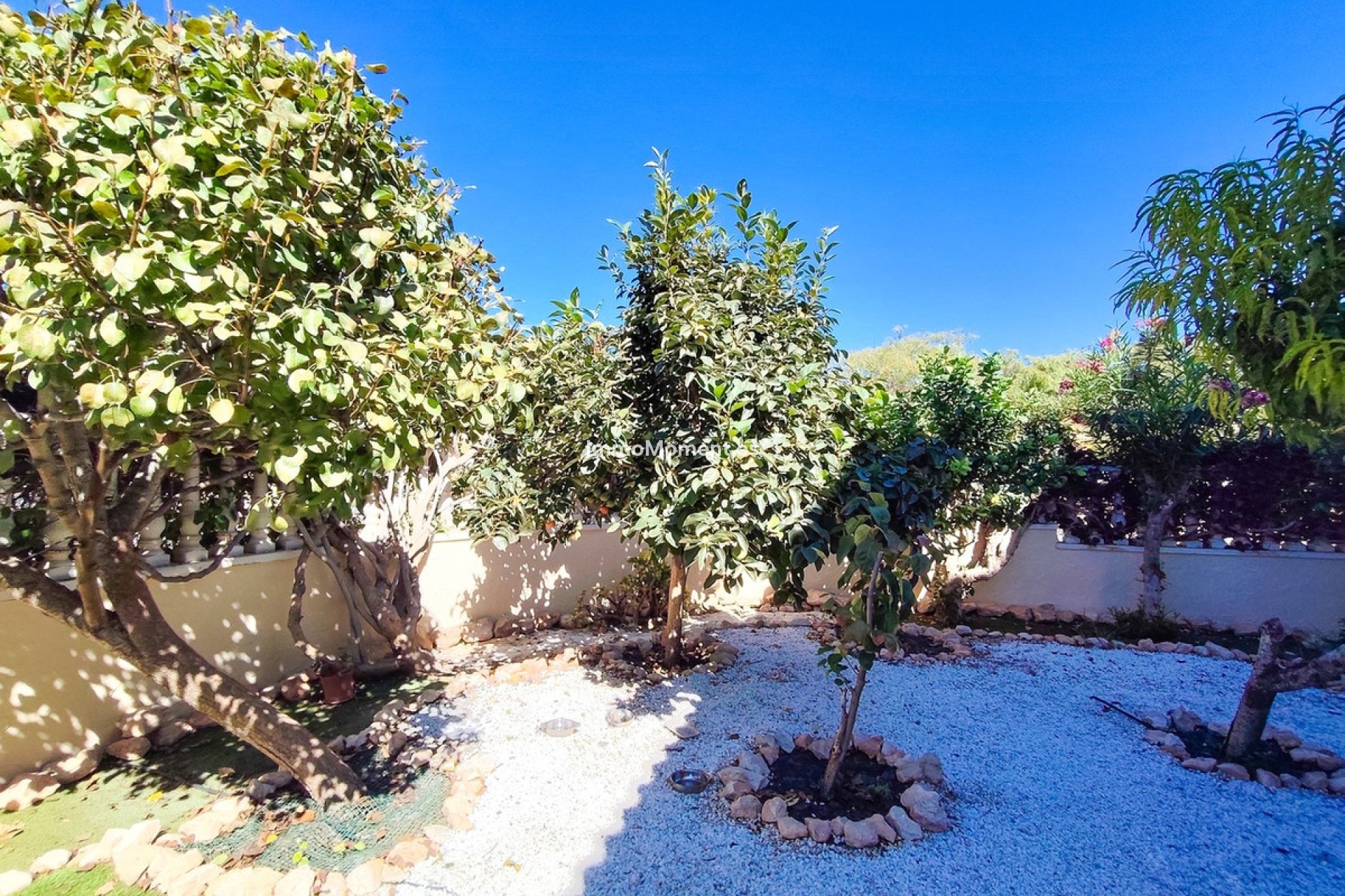 Resale - Apartment - Orihuela Costa - Cabo roig - La Zenia