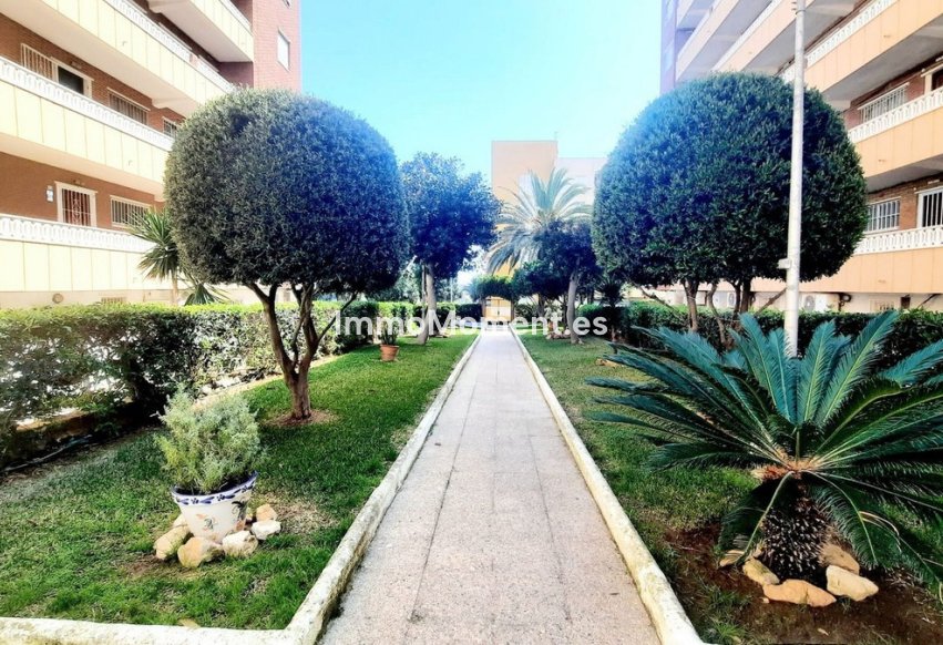 Resale - Apartment - Orihuela Costa - Punta Prima