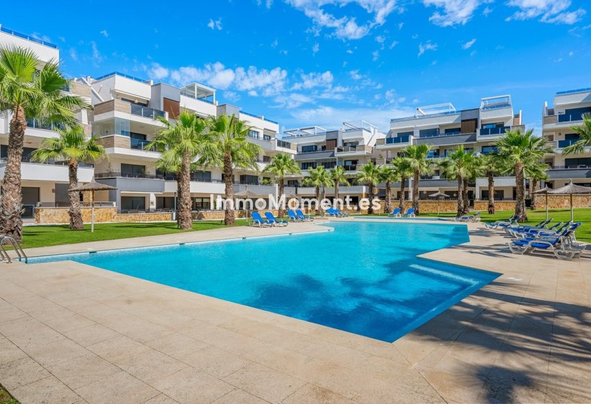 Resale - Apartment - Orihuela - Los Altos