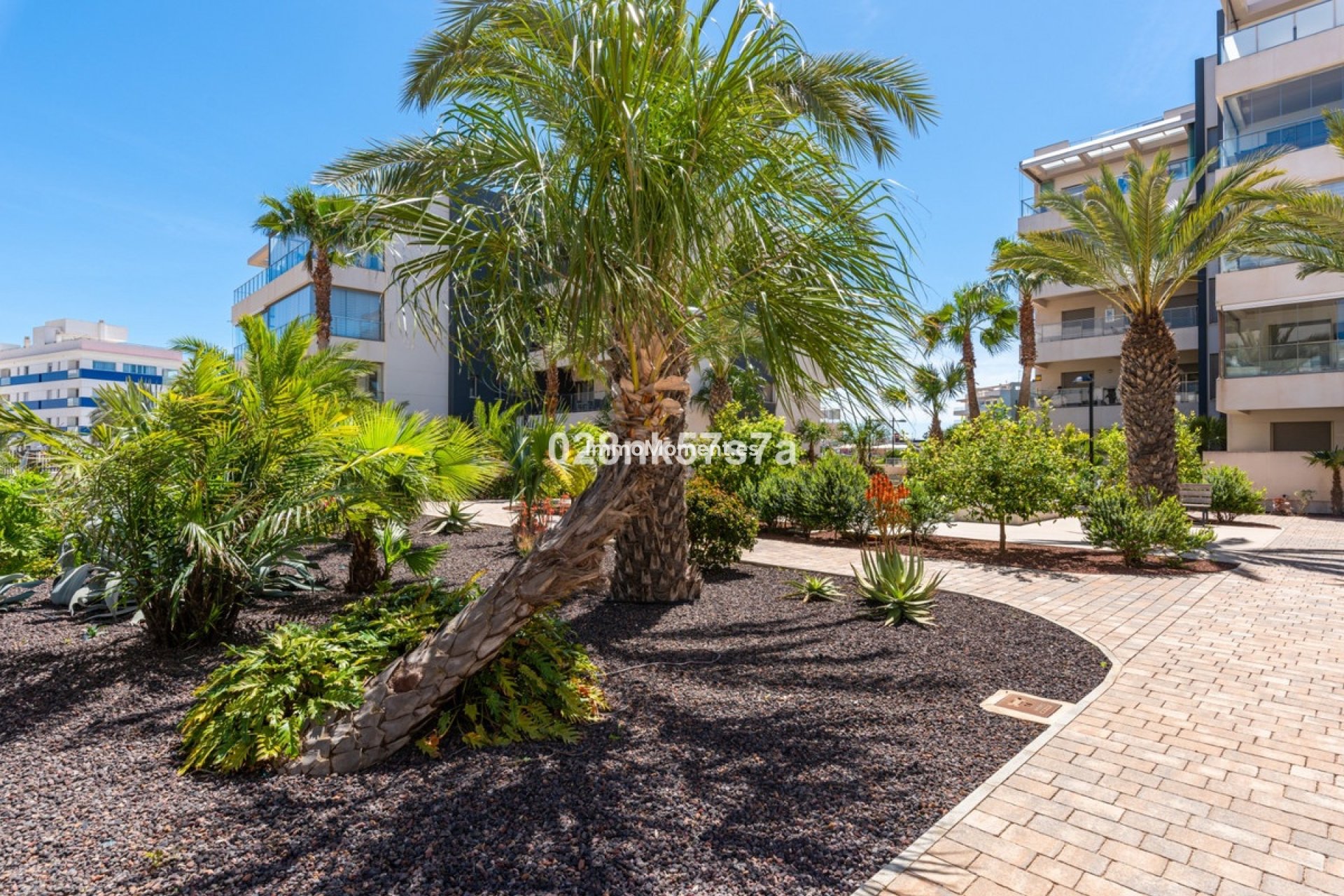 Resale - Apartment - Orihuela - Los Dolses