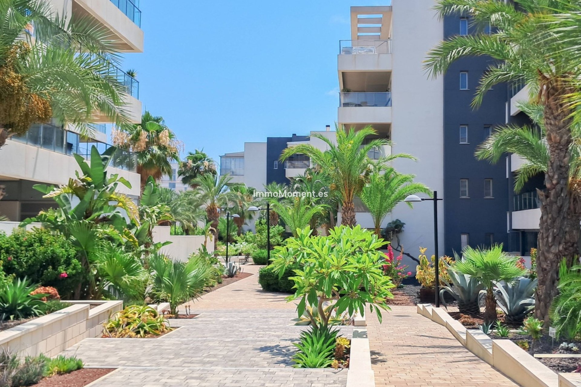 Resale - Apartment - Orihuela - Los Dolses