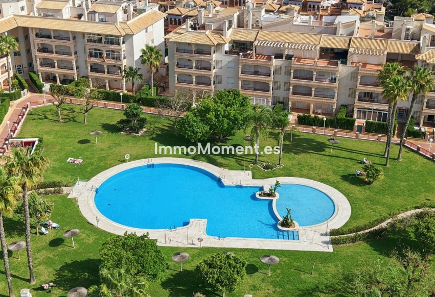 Resale - Apartment - Orihuela - Orihuela Centro