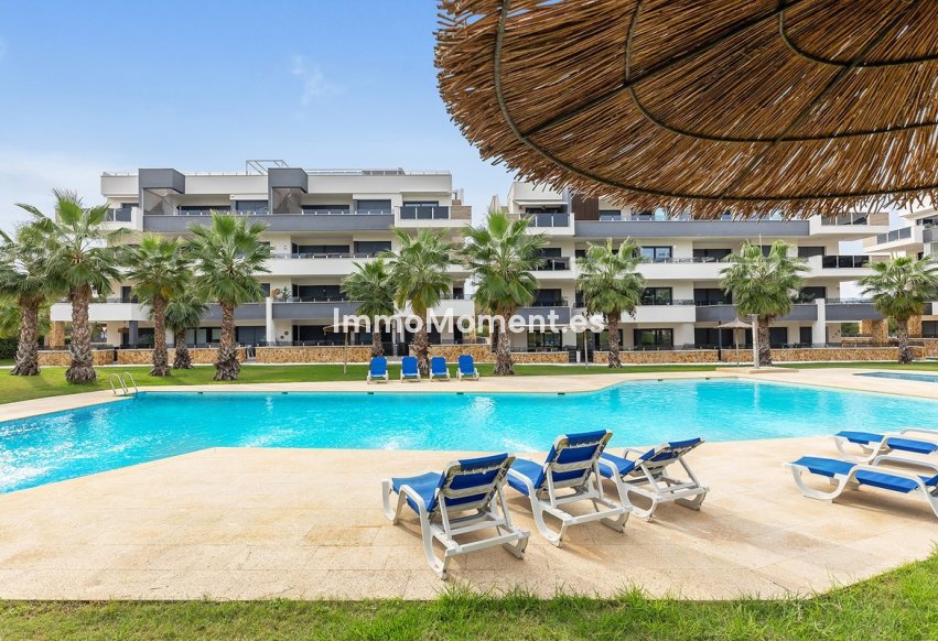 Resale - Apartment - Orihuela - Orihuela Centro