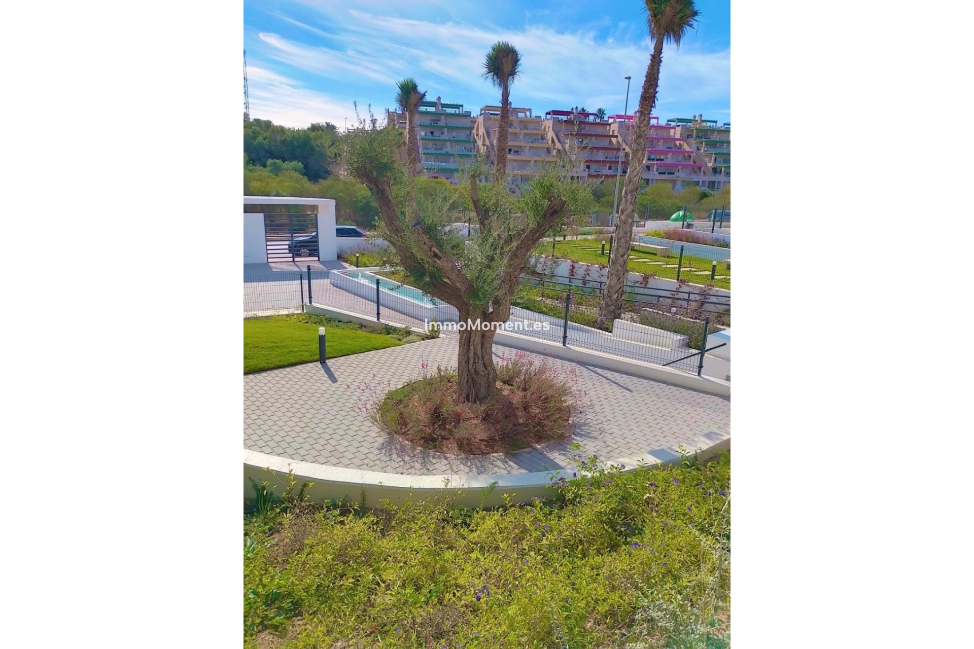 Resale - Apartment - Orihuela - Orihuela Centro