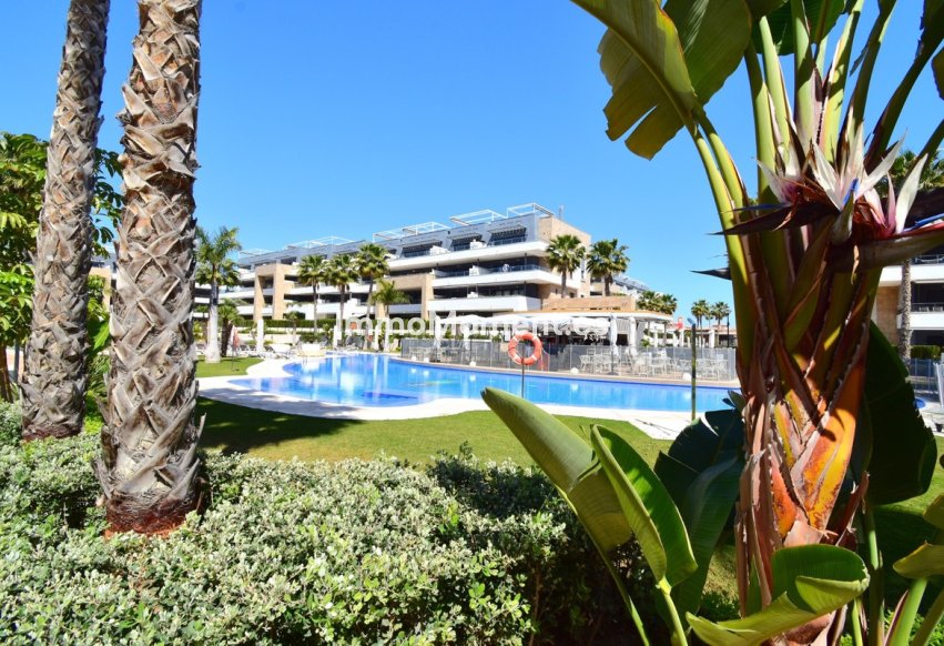 Resale - Apartment - Orihuela - Playa Flamenca