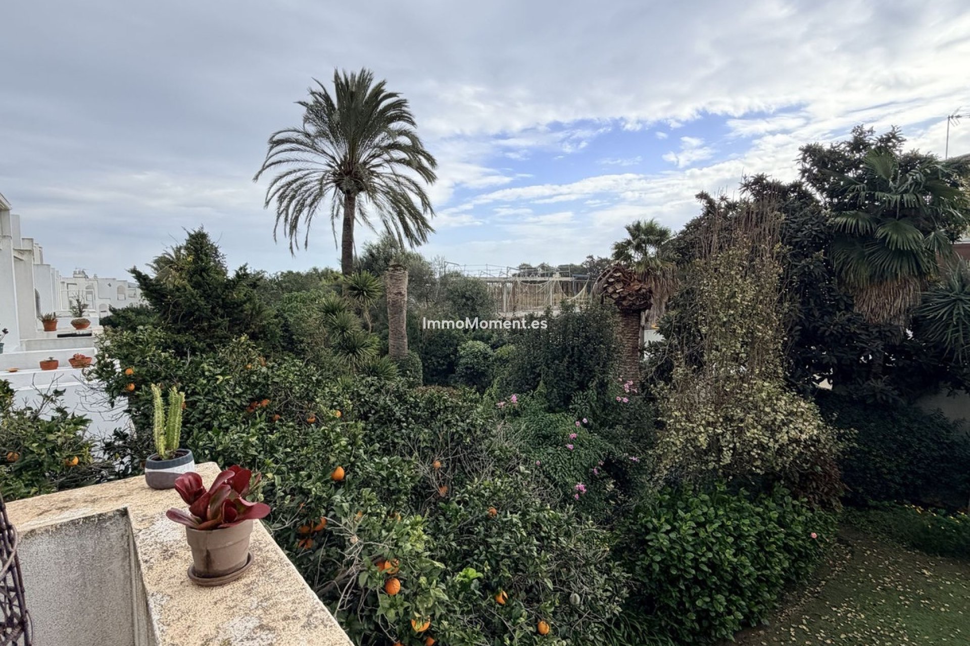 Resale - Apartment - Sotogrande - Sotogrande Costa