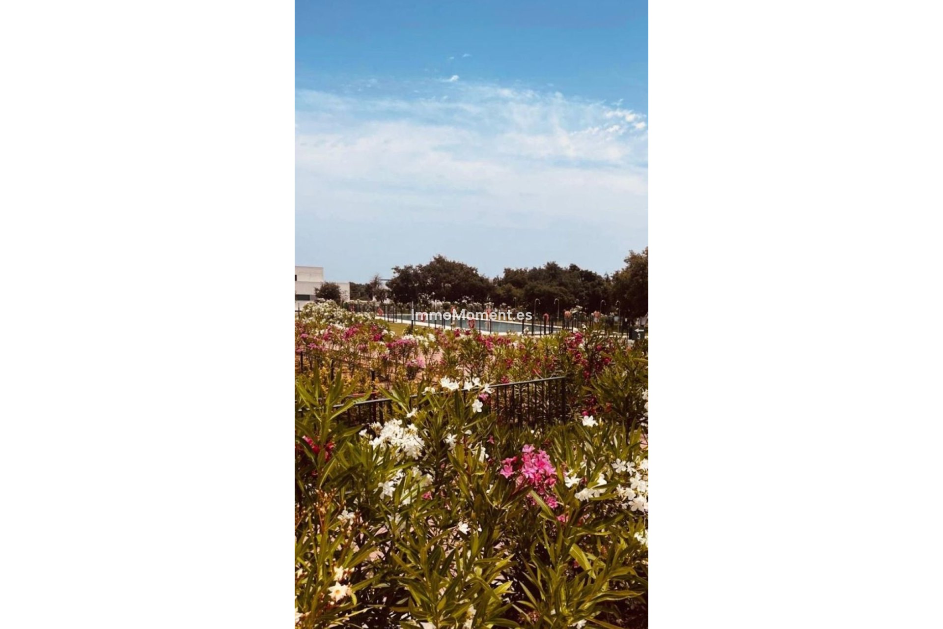 Resale - Apartment - Sotogrande