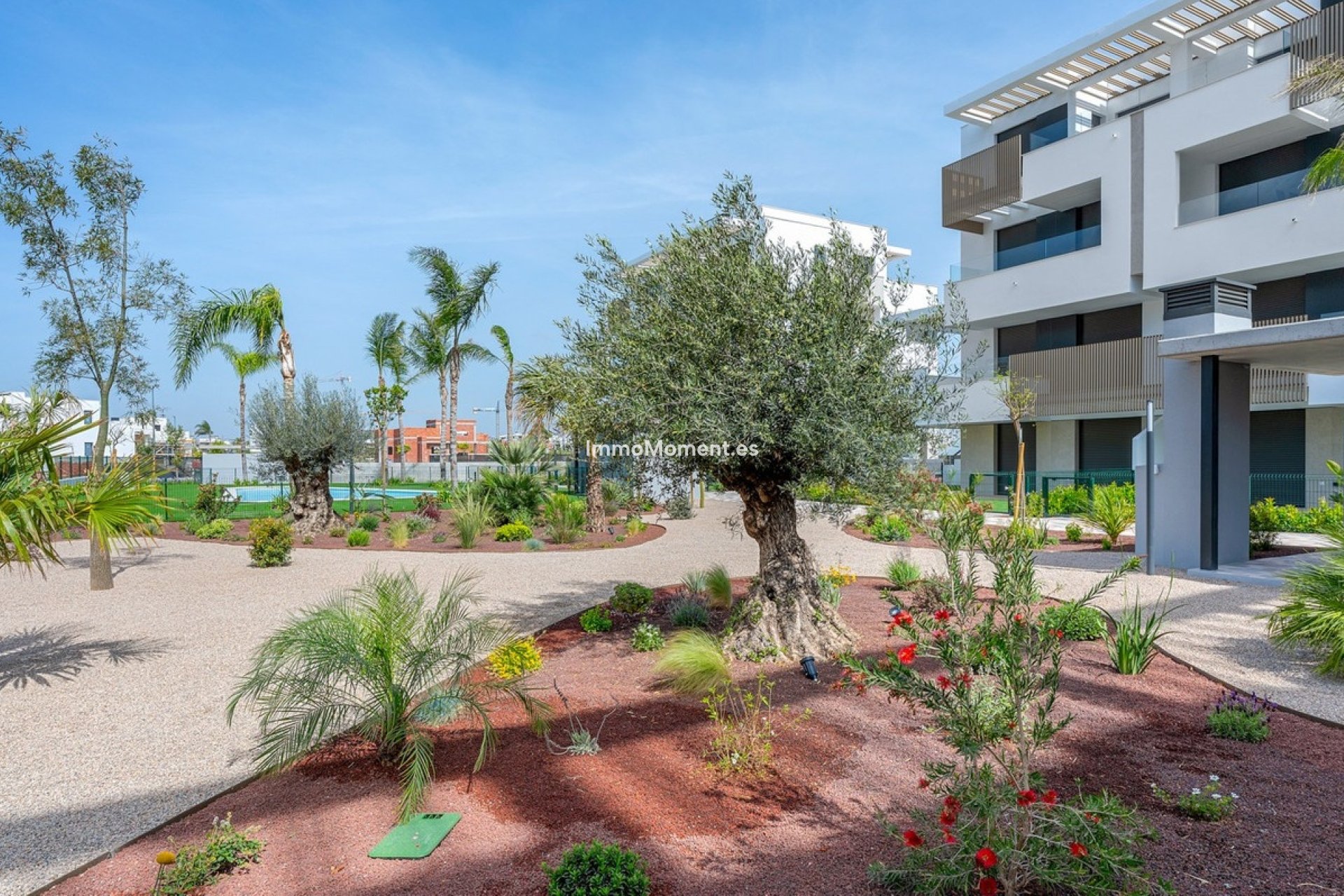 Resale - Apartment - Torre Pacheco - Santa Rosalia Lake and Life Resort