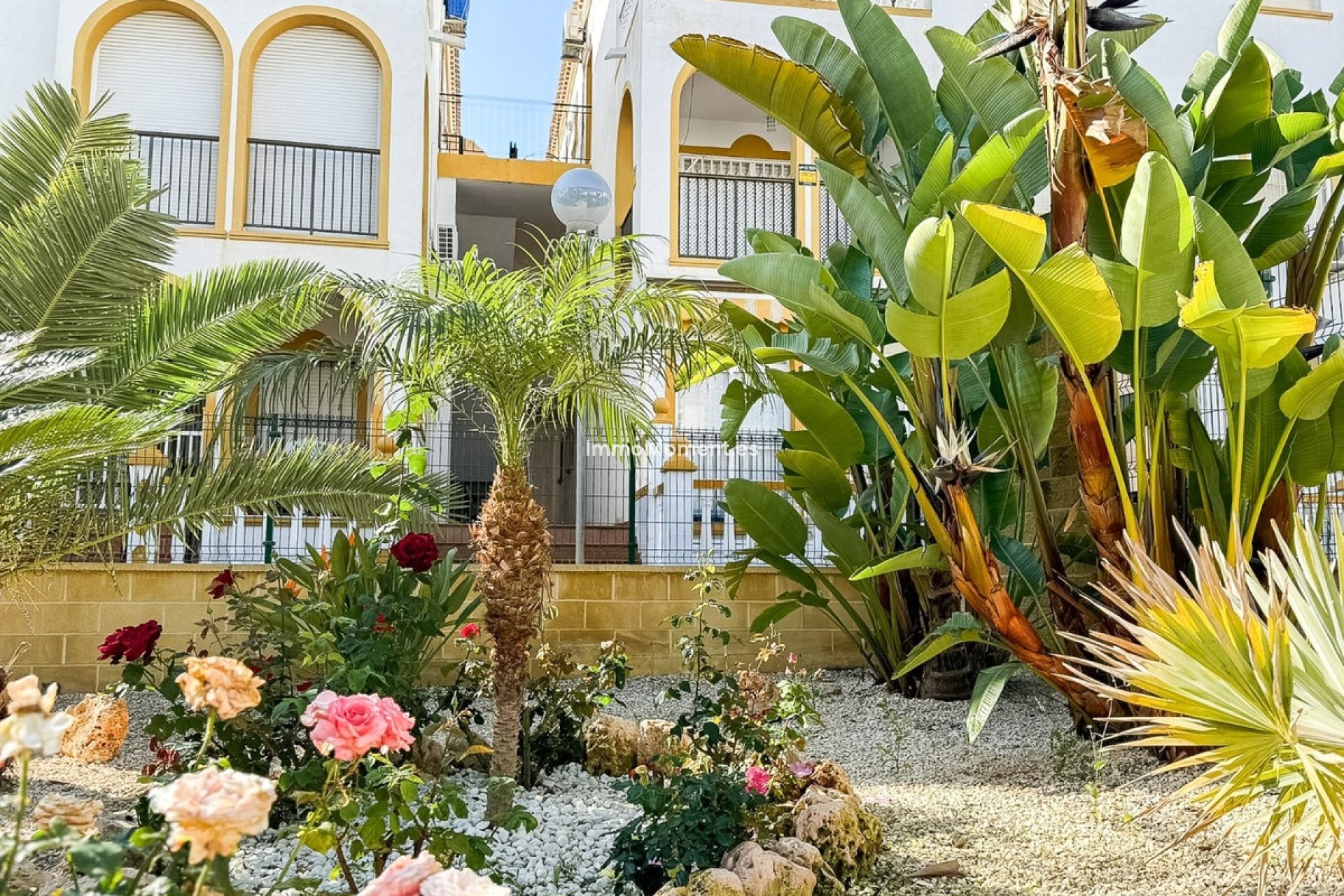 Resale - Apartment - Torrevieja - Torrevieja Centro