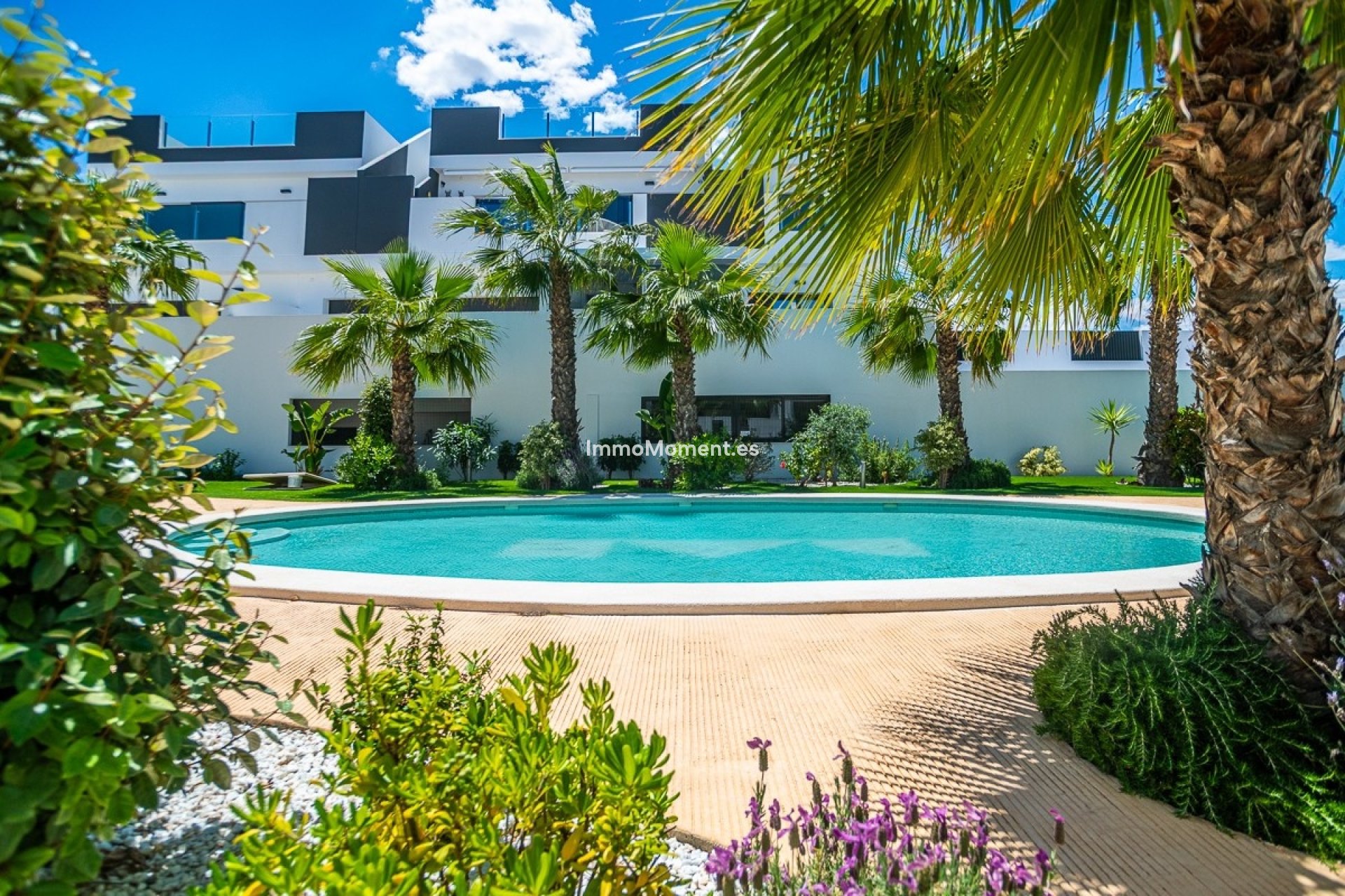 Resale - Apartment - Torrevieja - Torrevieja Centro