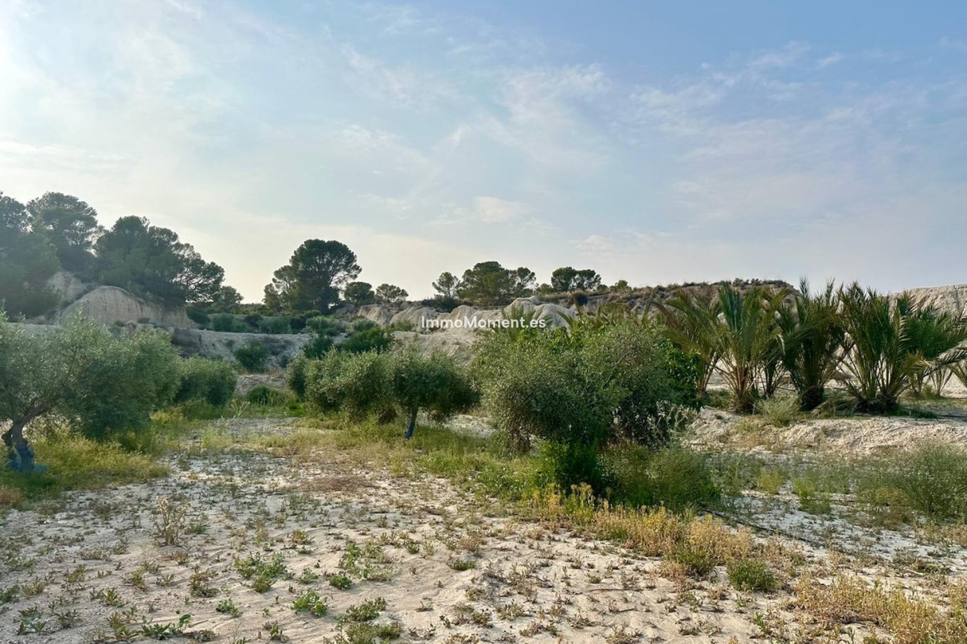 Resale - Country house - Abanilla - Abanilla Centro