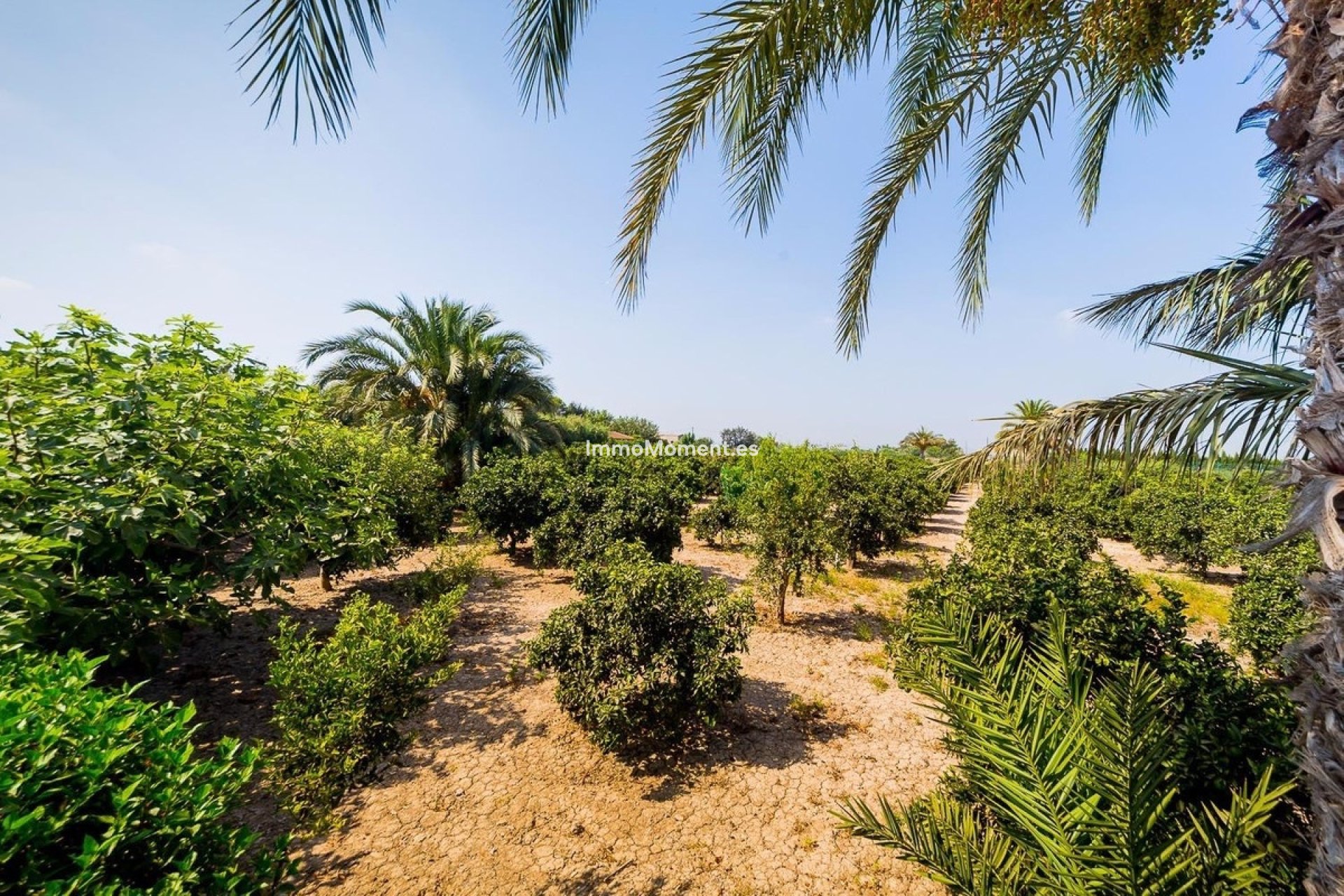 Resale - Country house - Almoradí - Almoradi Centro