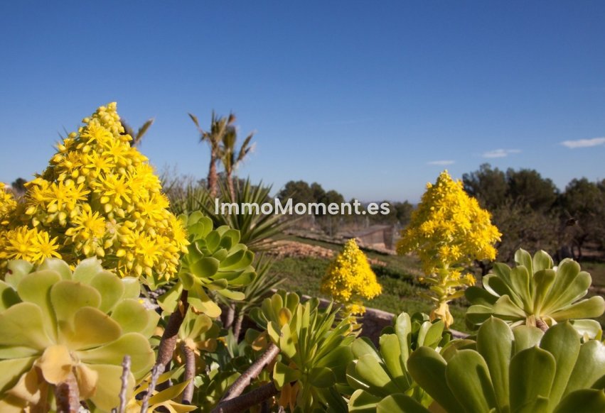 Resale - Country house - Benissa - Benissa Centro