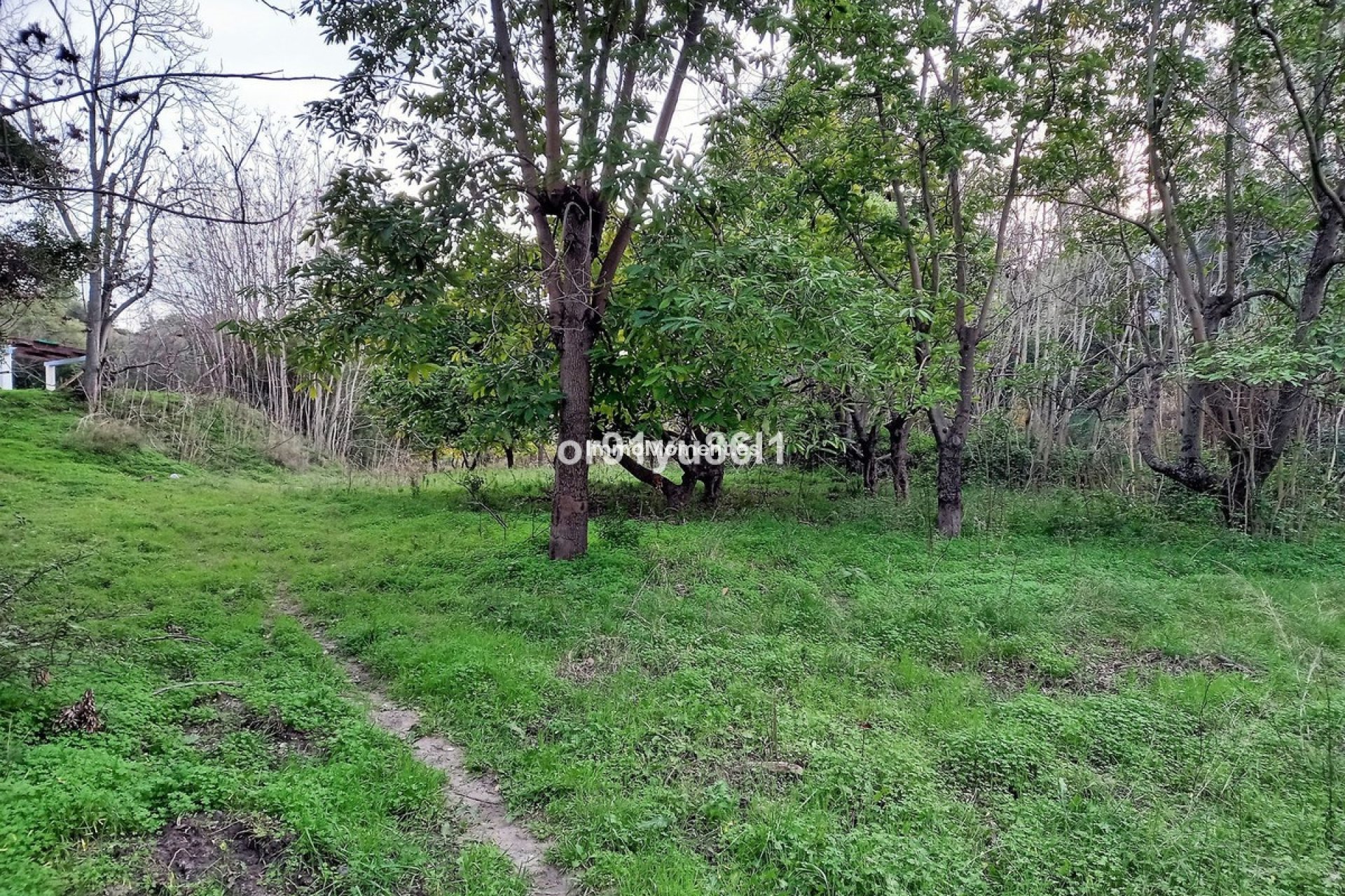 Resale - Country house - Casares - Casares Centro