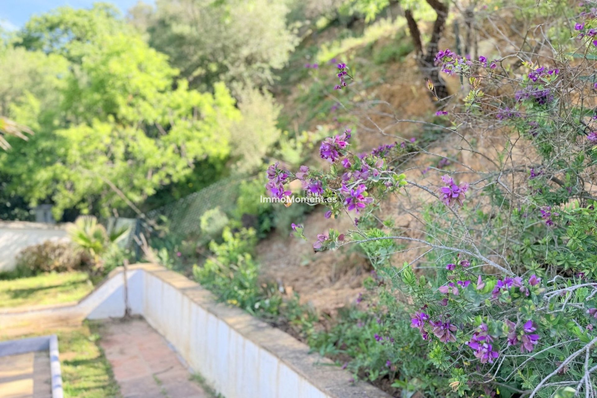 Resale - Country house - Casares - Casares Centro