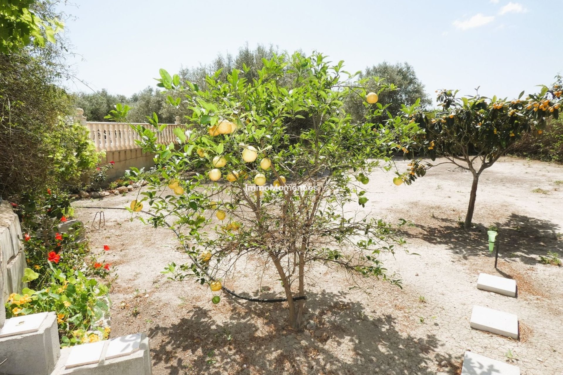 Resale - Country house - Dolores - Dolores Centro