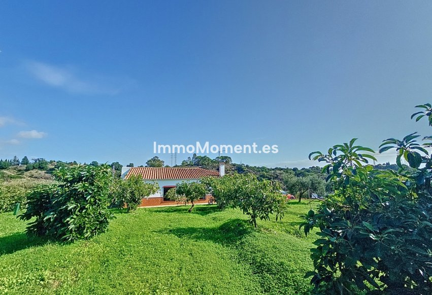 Resale - Country house - Estepona - El Padron