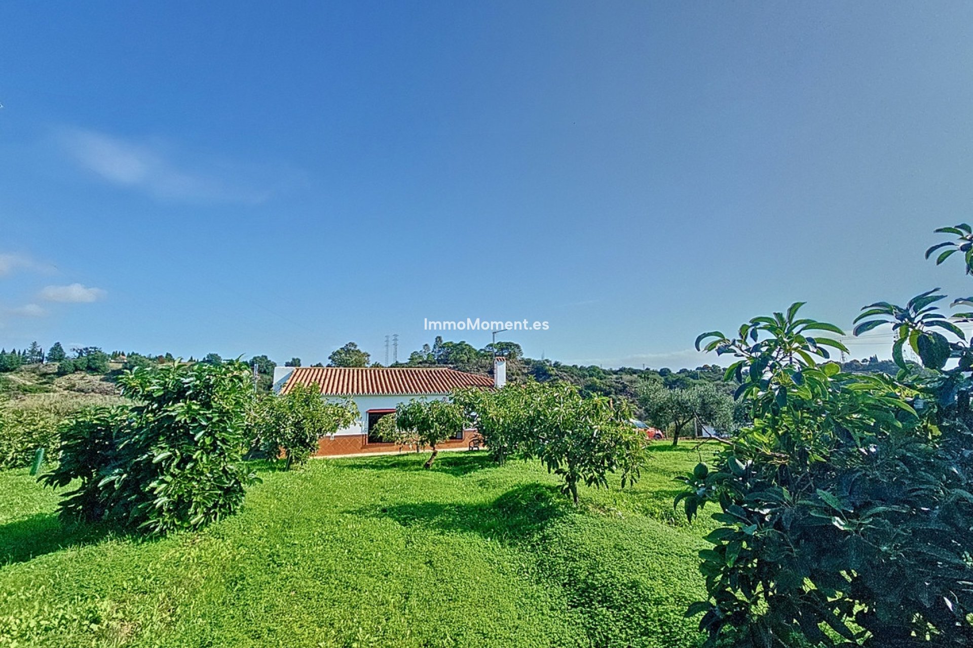 Resale - Country house - Estepona - El Padron