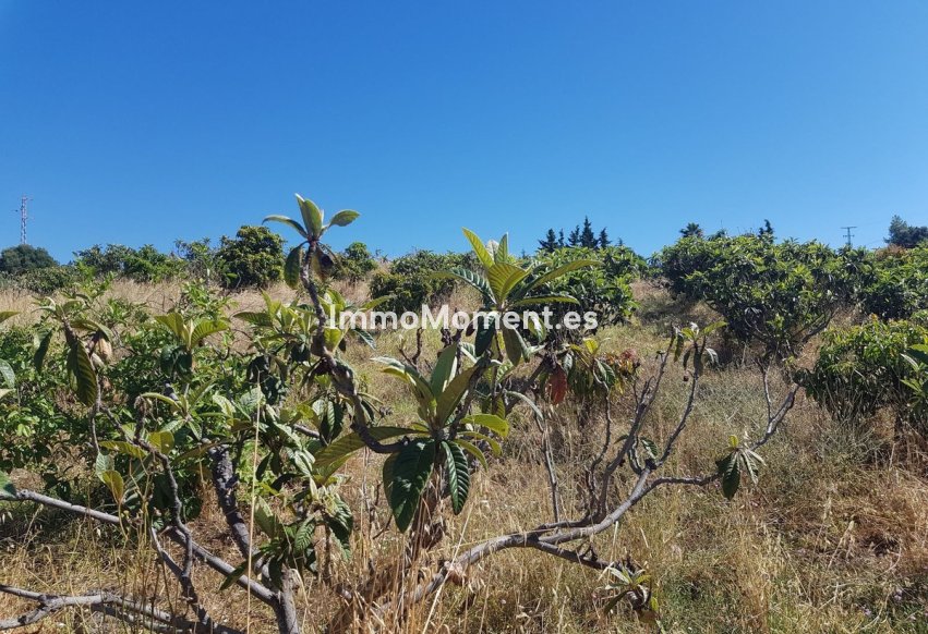 Resale - Country house - Estepona - Estepona Centro