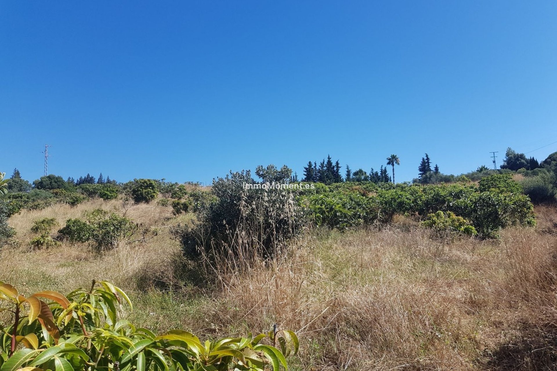 Resale - Country house - Estepona - Estepona Centro