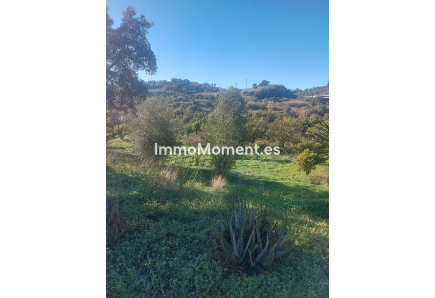 Resale - Country house - Estepona - Estepona Centro