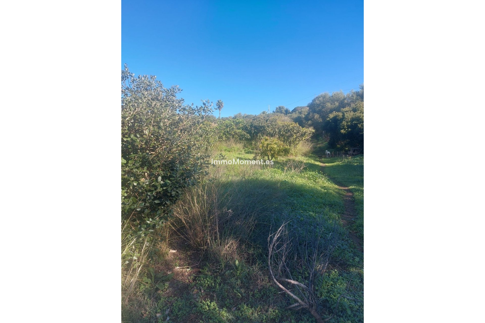 Resale - Country house - Estepona - Estepona Centro