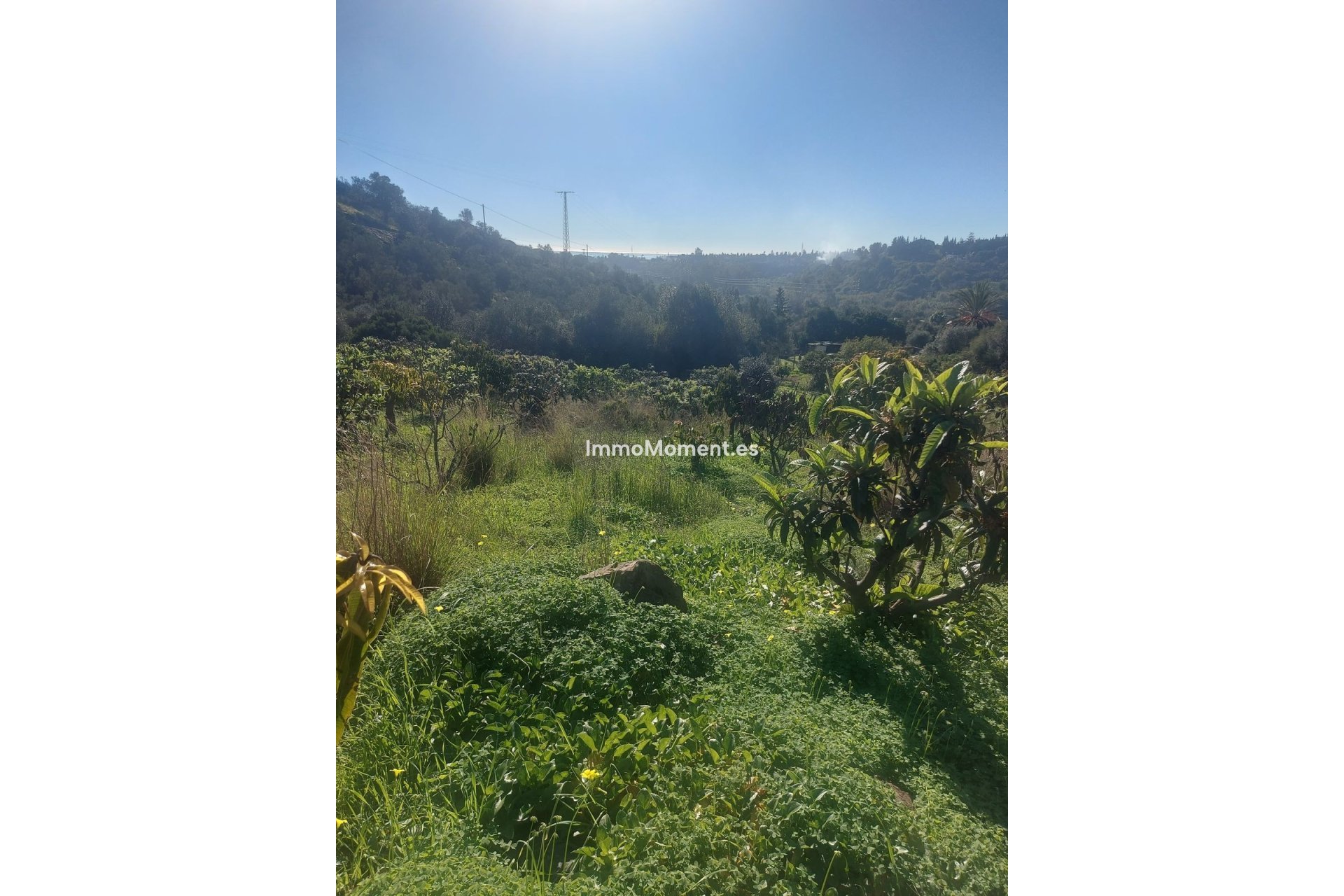 Resale - Country house - Estepona - Estepona Centro