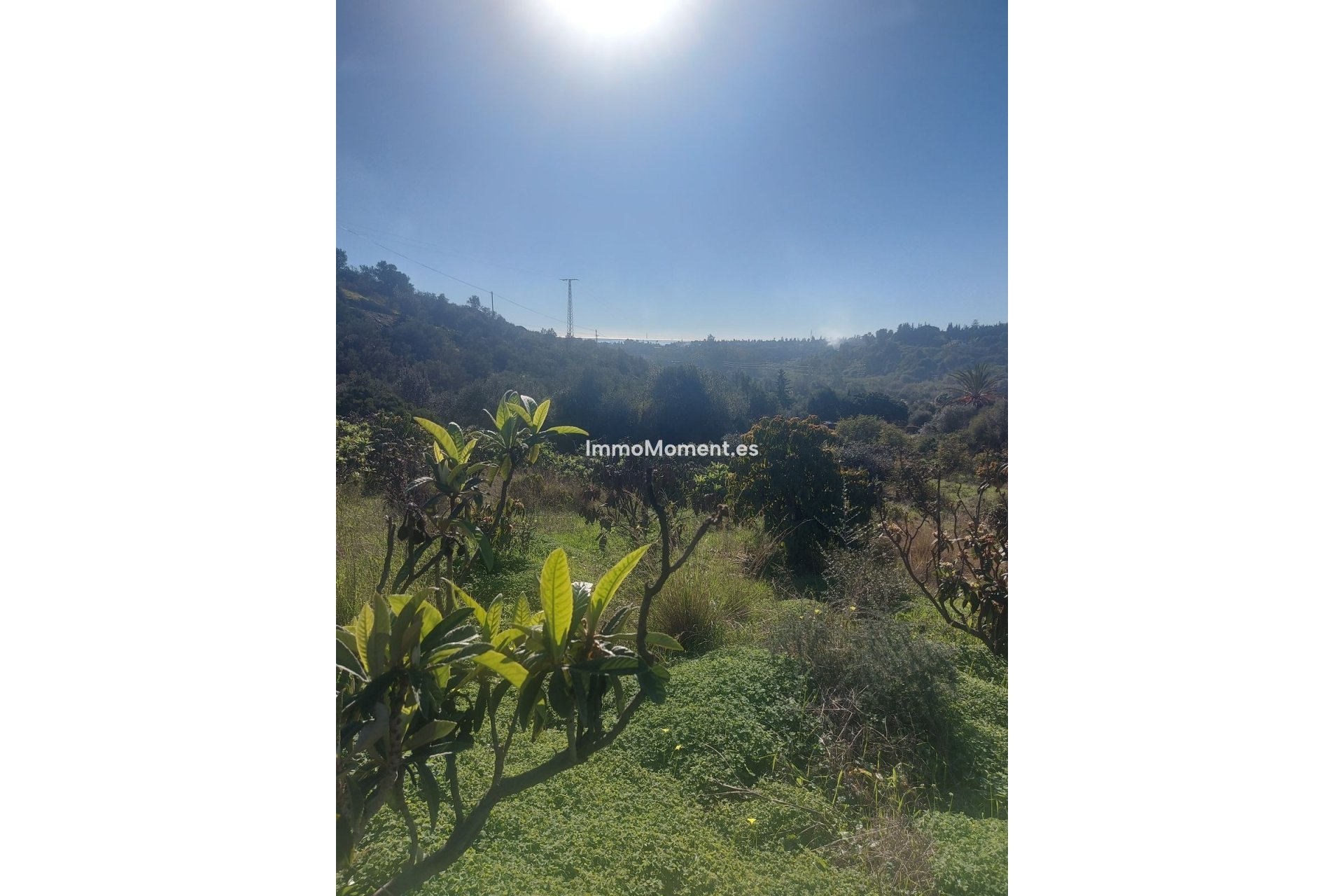 Resale - Country house - Estepona - Estepona Centro