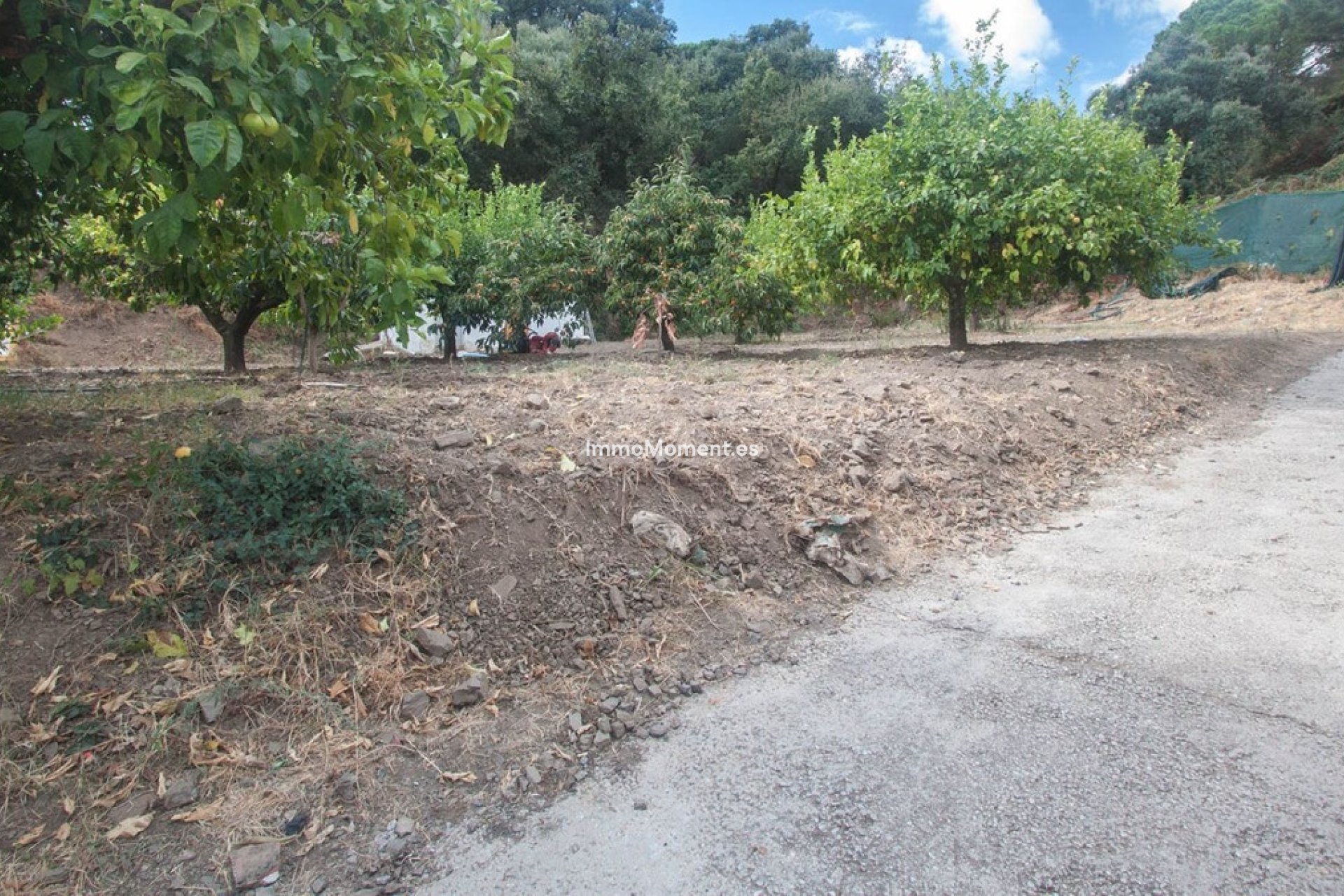 Resale - Country house - Estepona - Estepona Centro