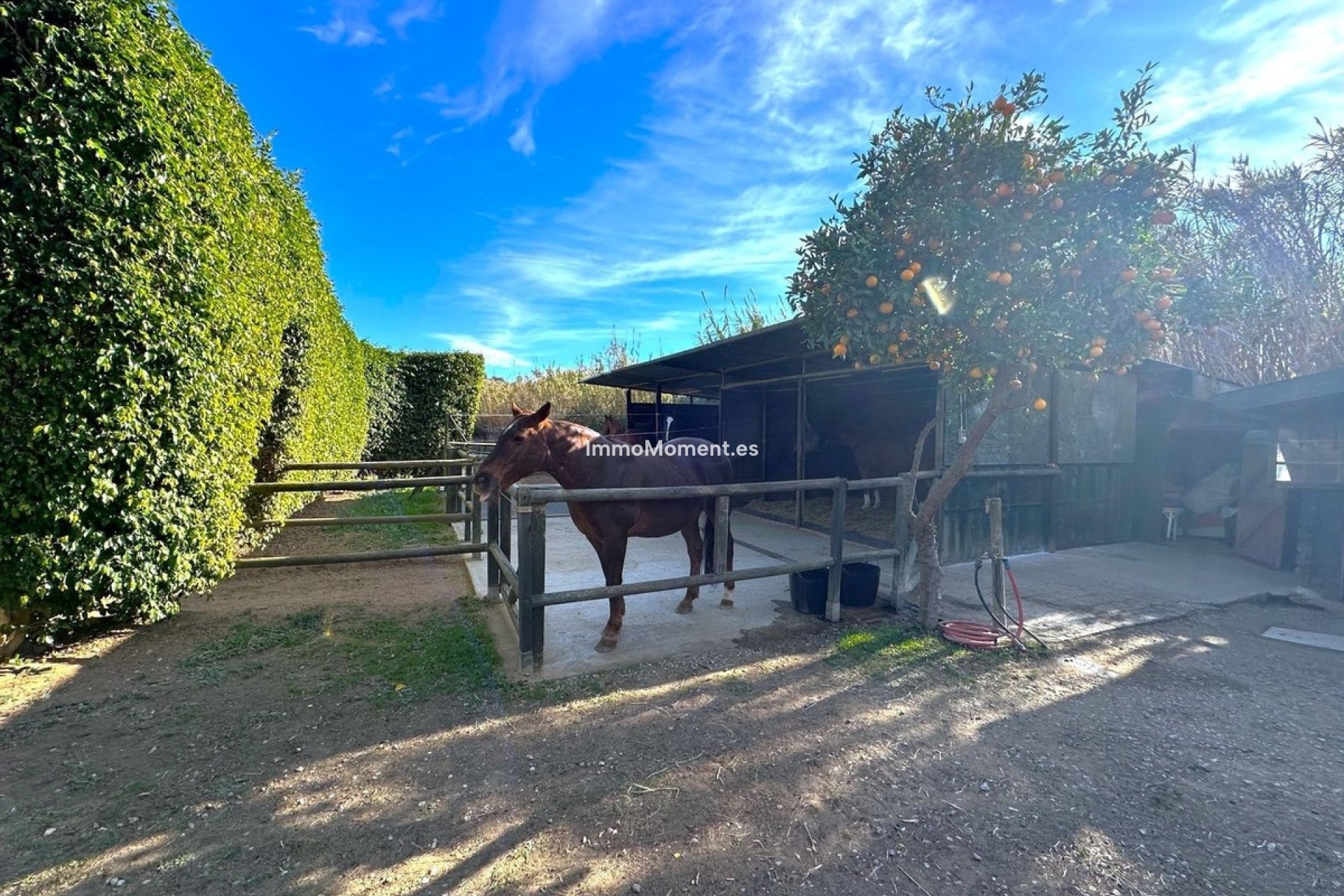 Resale - Country house - Estepona - Estepona Centro