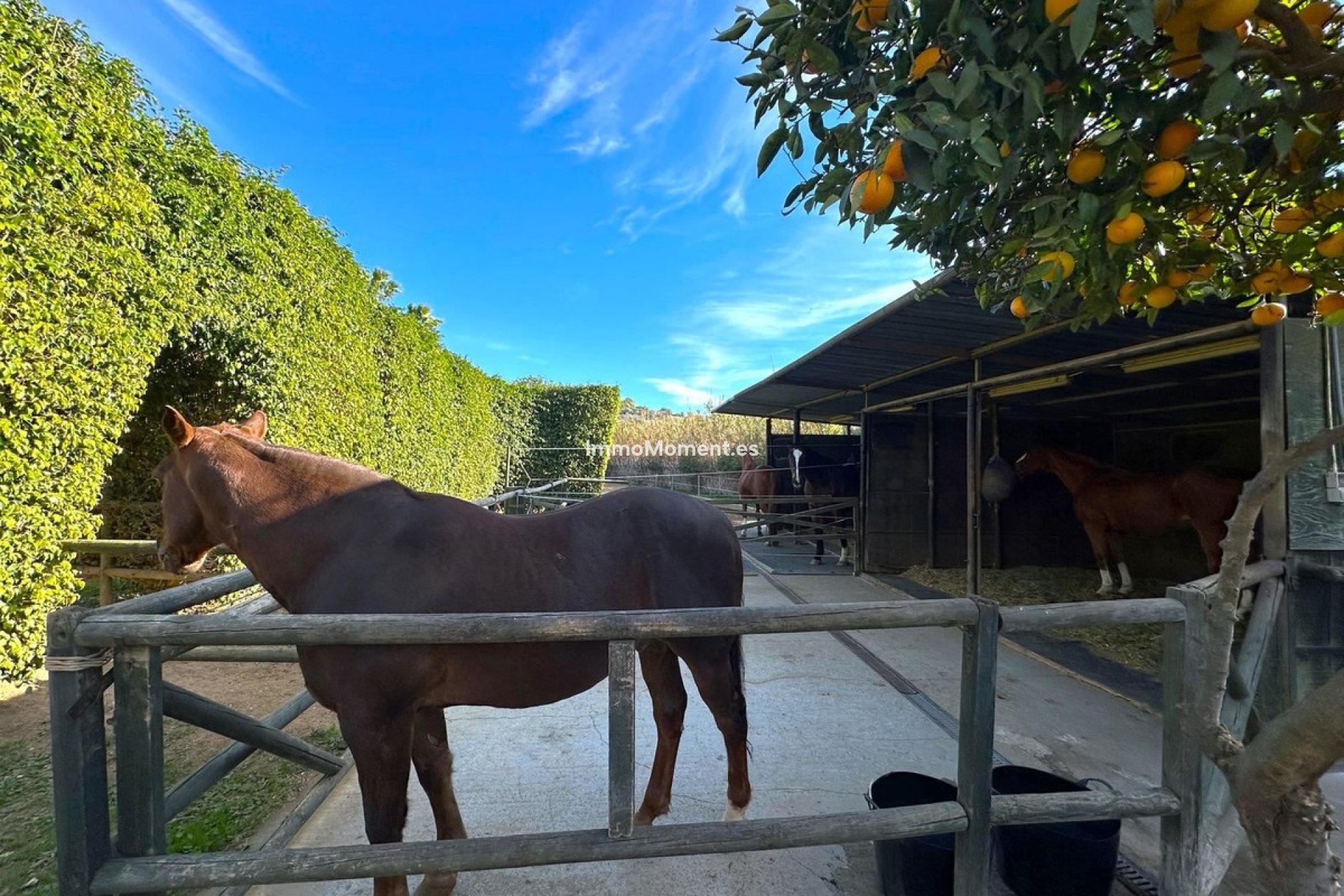 Resale - Country house - Estepona - Estepona Centro