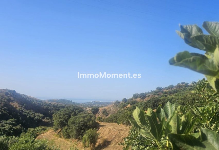 Resale - Country house - Estepona - Estepona Centro
