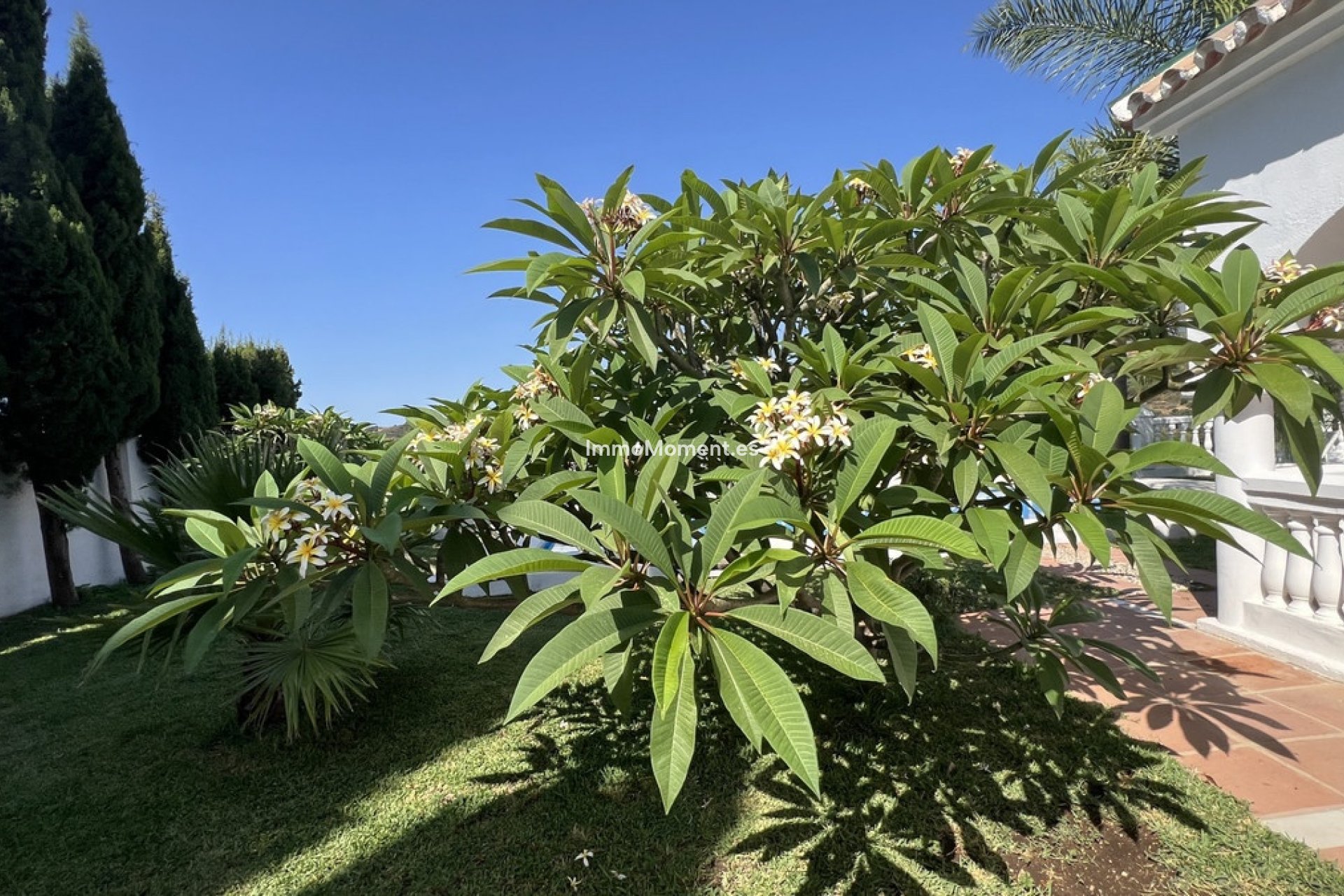 Resale - Country house - Estepona - Estepona Centro