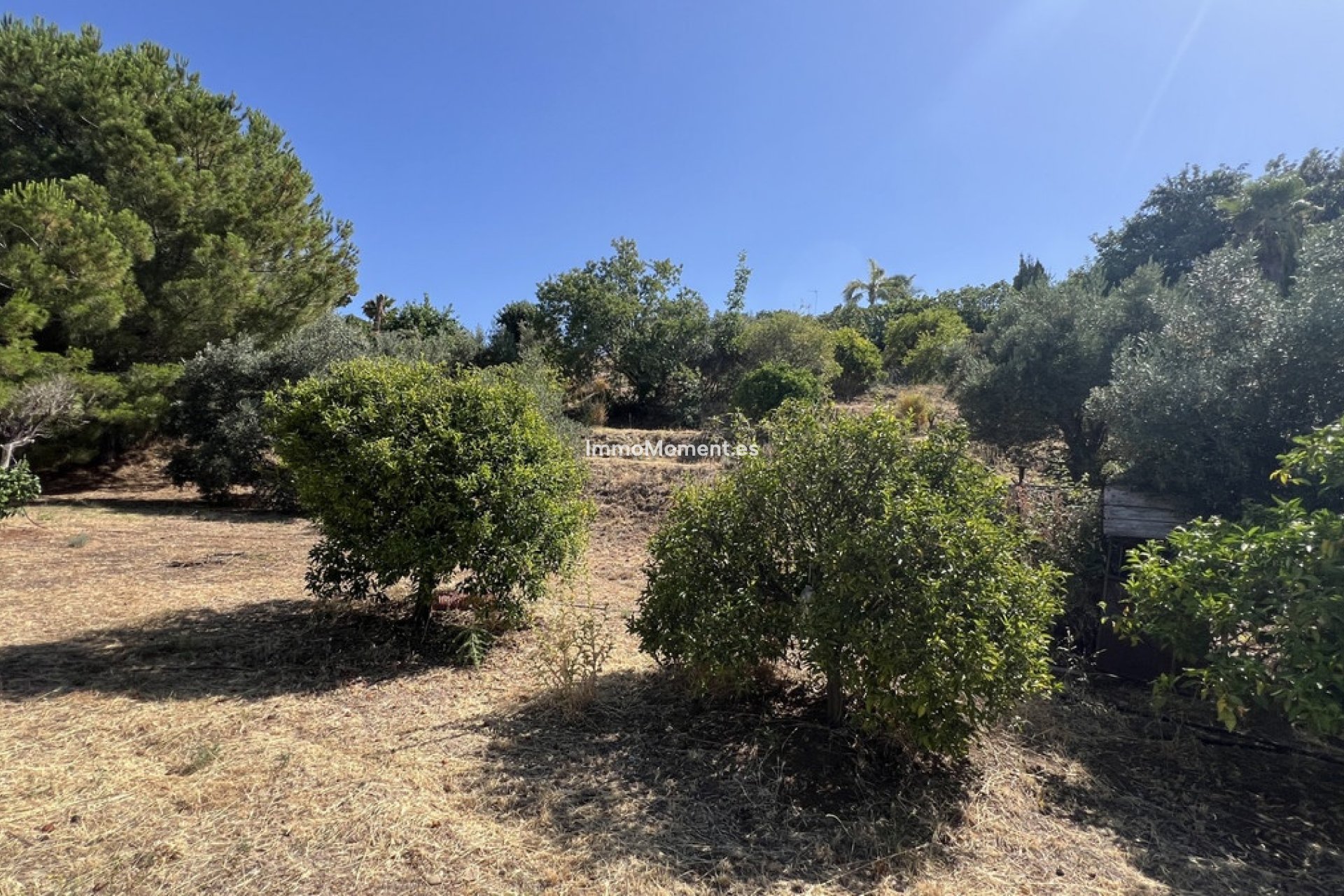 Resale - Country house - Estepona - Estepona Centro