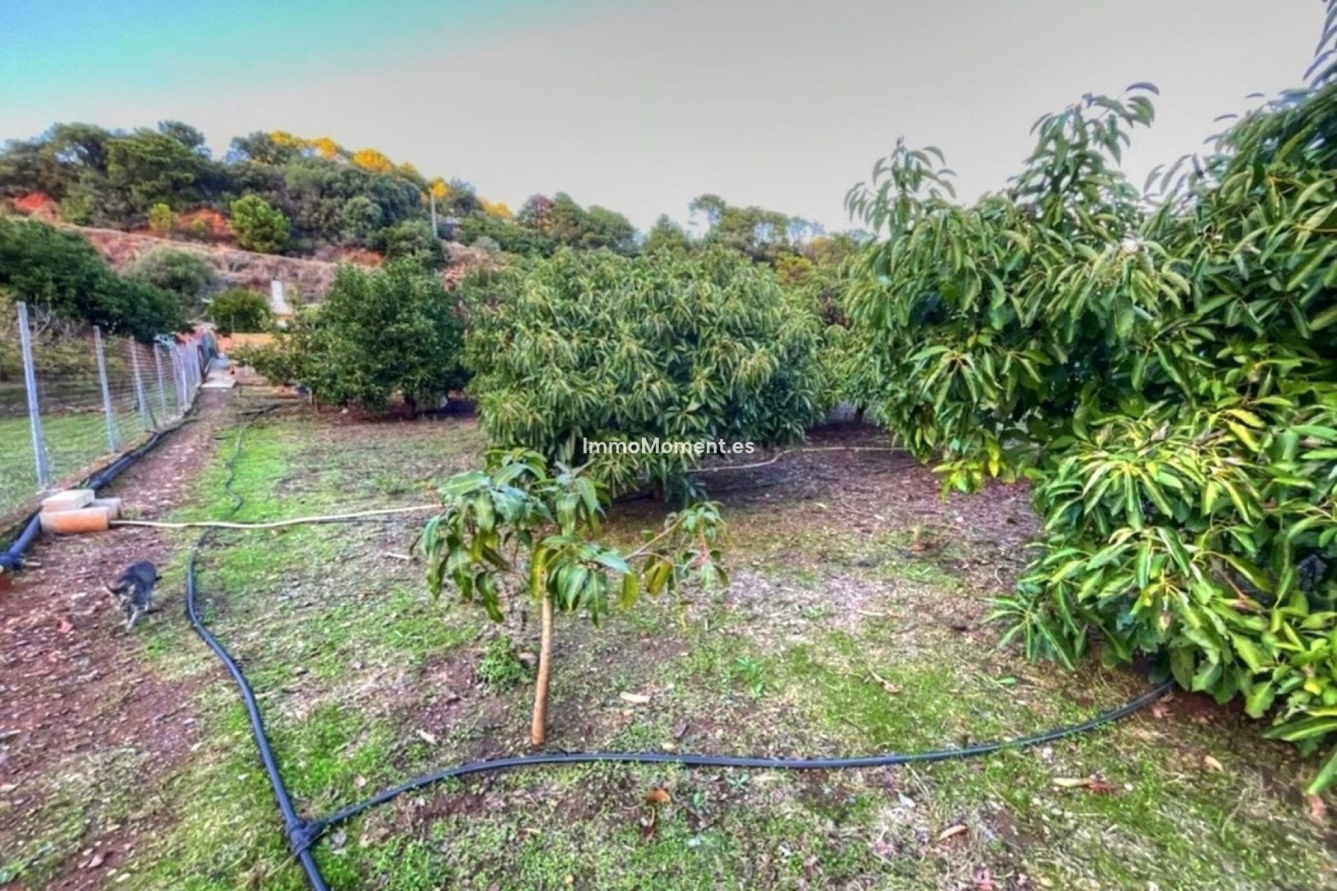 Resale - Country house - Estepona - Estepona Centro