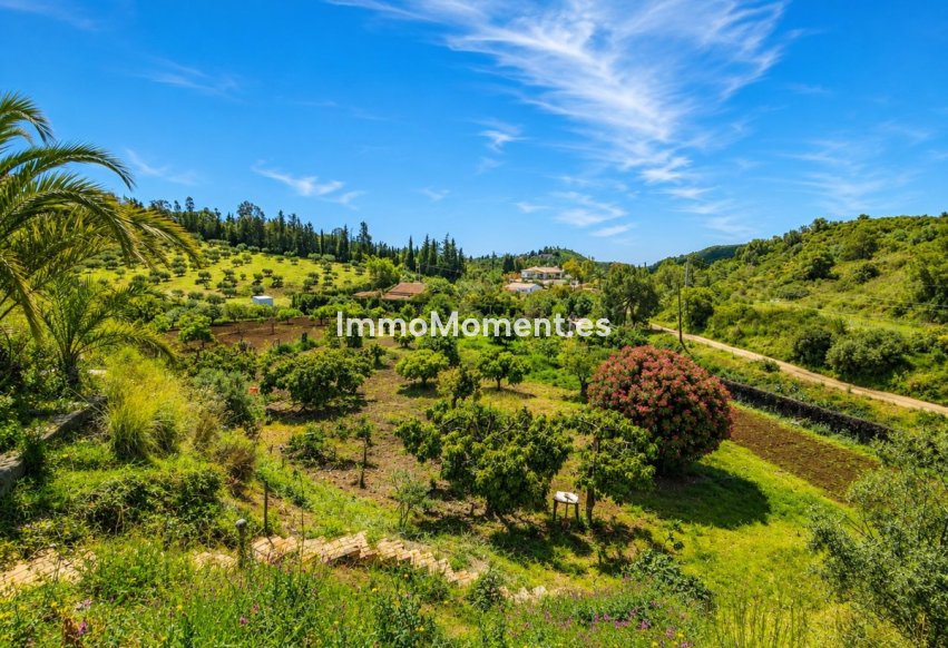 Resale - Country house - Estepona - Estepona Centro
