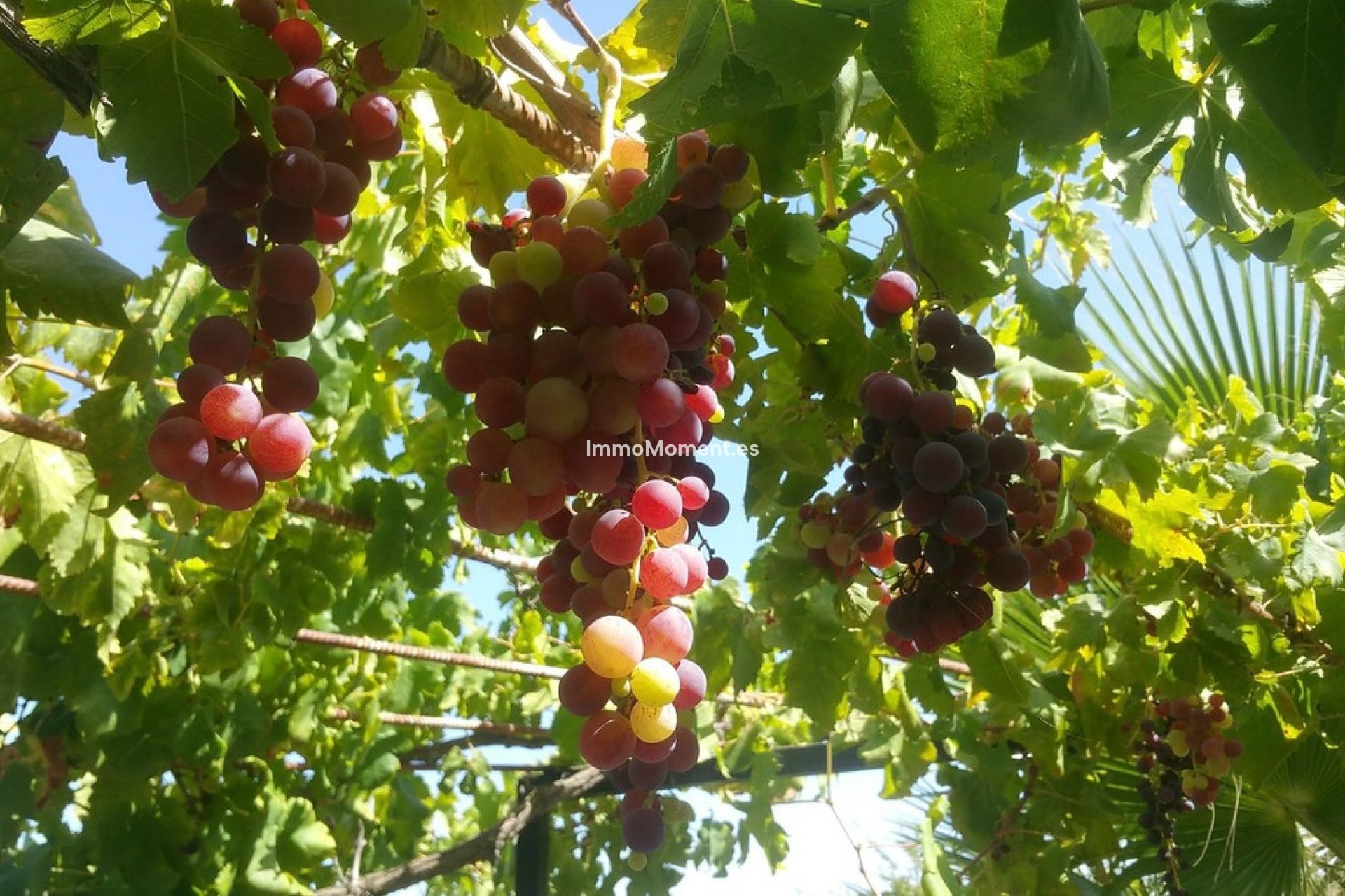 Resale - Country house - Inland  - Alhaurín de la Torre