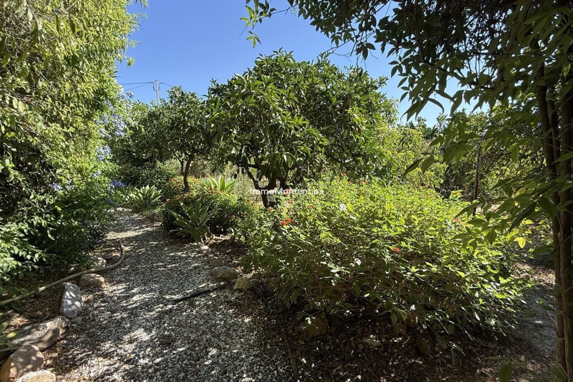 Resale - Country house - Inland  - Alhaurín el Grande Centro